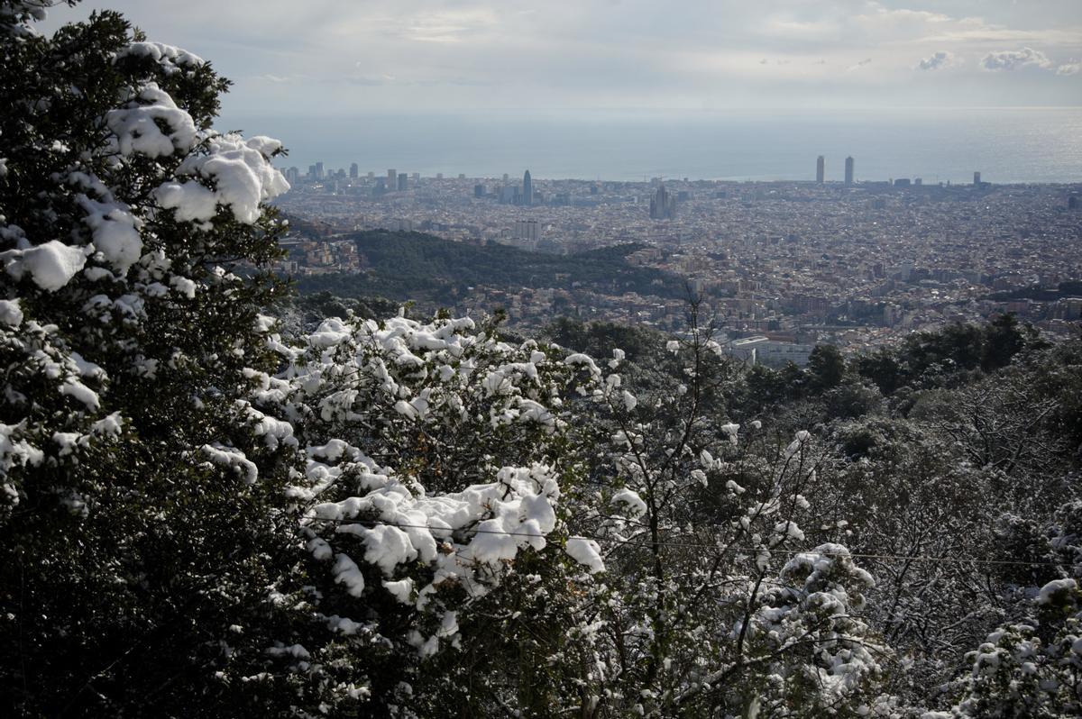 La nieve llega a Barcelona: Collserola, cubierta de blanco