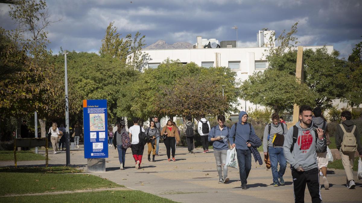 Campus de la Universidad de Alicante en San Vicente del Raspeig, principal foco de formación superior en la provincia.