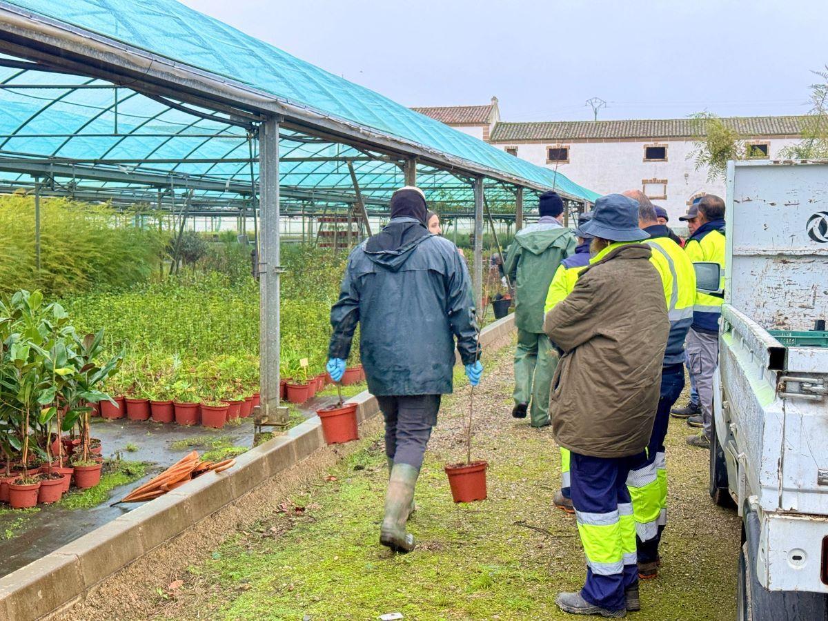 Campaña de arbolado 2026