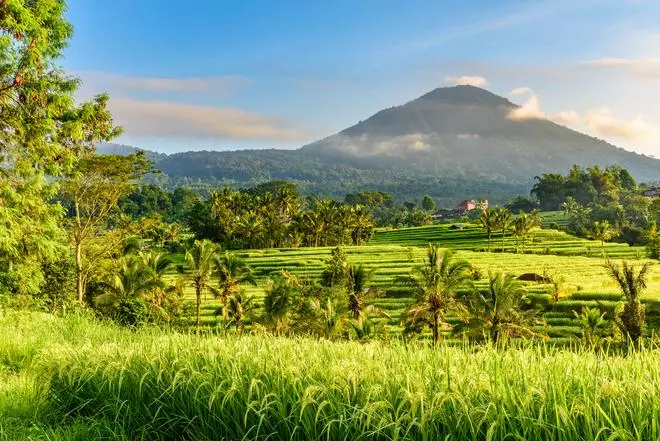 Bali, la isla de los mil templos que también es un paraíso del surf