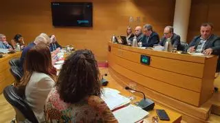 PSPV y Compromís reclaman a Mazón frenar la ley de Concordia tras el informe de la ONU