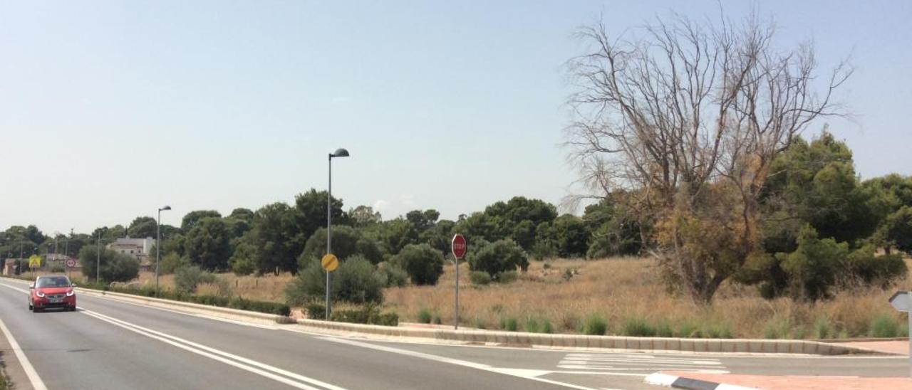 El sector junto al cementerio contempla 221 viviendas en el nuevo PGOU.