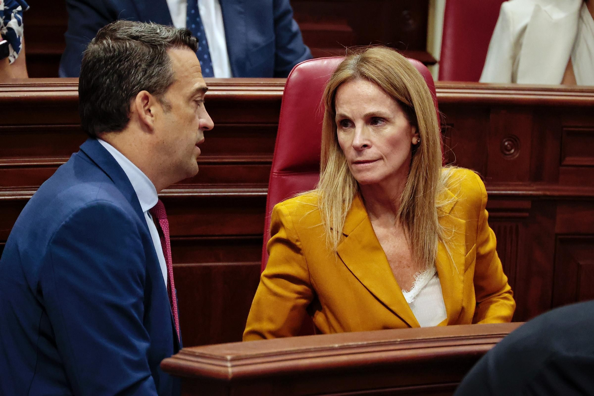 Sesión de control en el Parlamento de Canarias este miércoles 23 de julio de 2024.