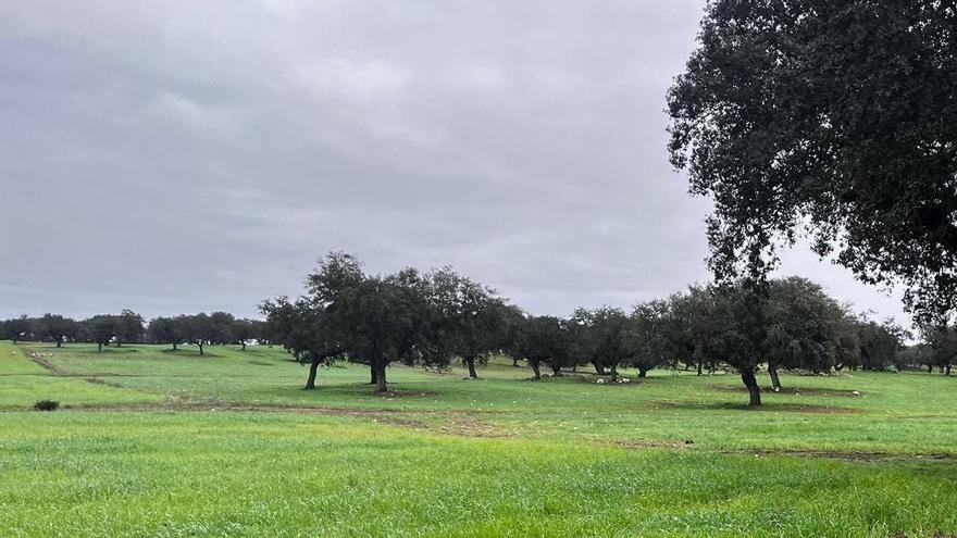 La despoblación rural a debate en Valverde de Burguillos