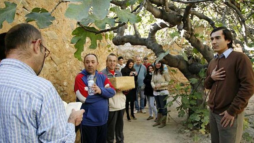 Actores vestidos de oriolanos históricos muestran la ciudad a 4.000 visitantes