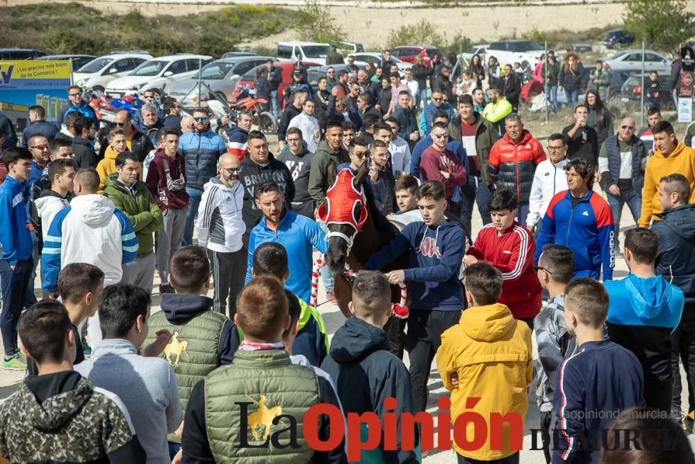 Carrera de entrenamiento de los Caballos del Vino