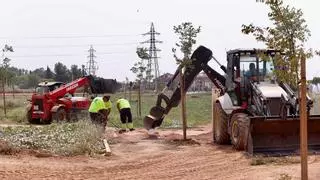 La ‘brigada verde’ del bosque urbano de Córdoba