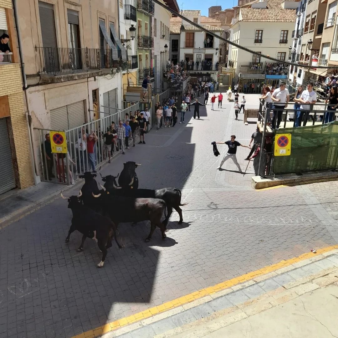 Segorbe disfruta con los actos taurinos en la plaza del Almudín