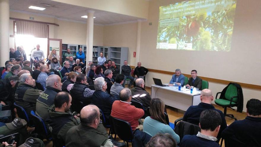 Un instante del encuentro celebrado ayer en la OCA de Ronda.