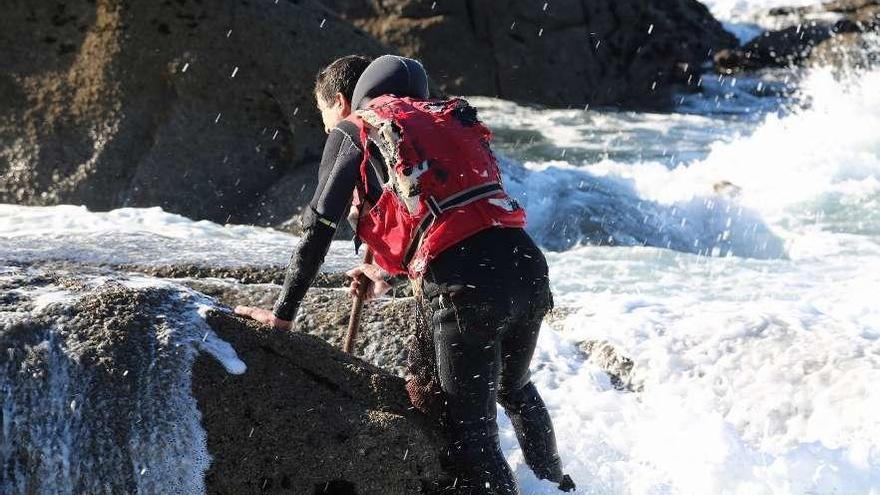 Un percebeiro busca recurso entre las rocas. // Manuel Muñiz