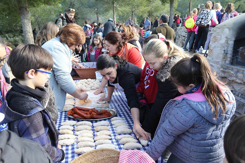 Los colegios de Sant Antoni inauguraron ayer esta fiesta al aire libre que continúa todo el fin de semana.