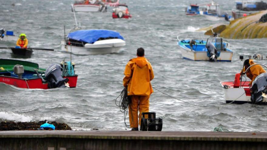 Greenpeace avoga por impulsar la pesca artesanal. // I. Abella