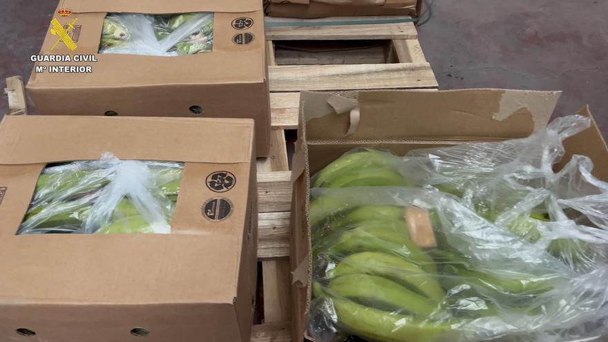 La droga llegó a Algeciras oculta entre bananas.