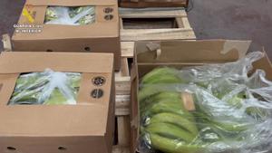 Incautadas 6,5 toneladas de cocaína introducida en el puerto de Algeciras entre bananas