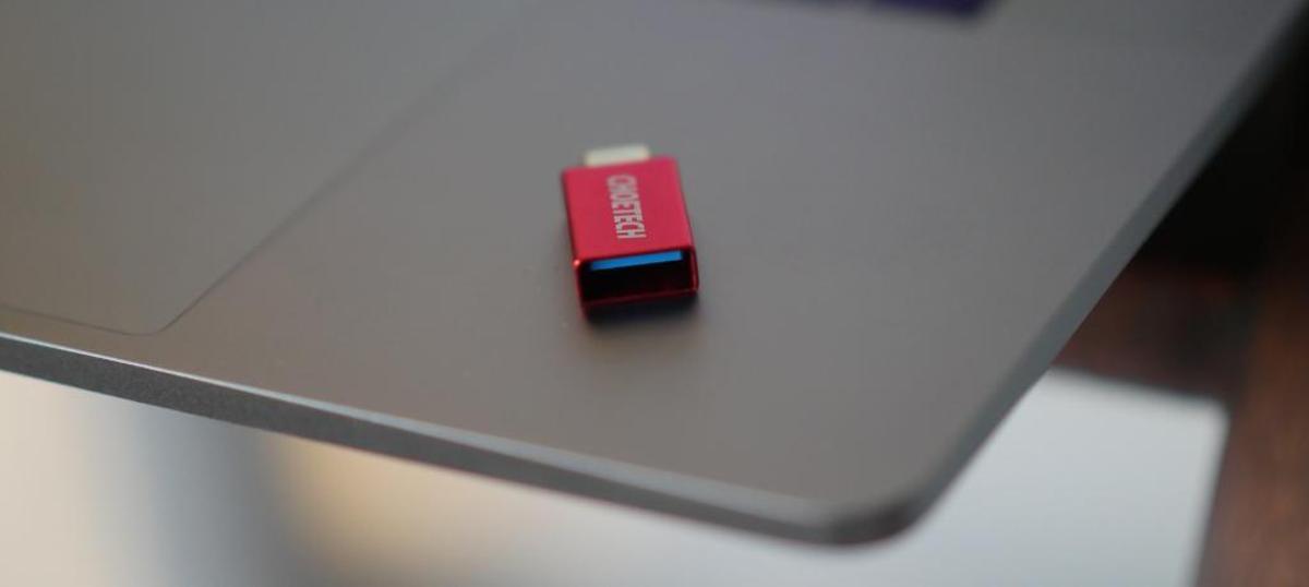 Multas millonarias por perder un USB.