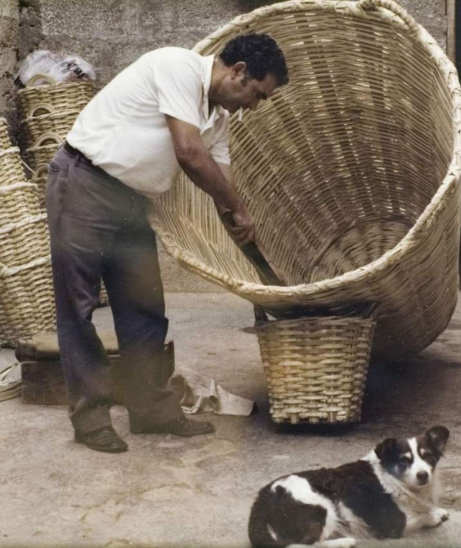 José Rodríguez Sánchez prepara una cesta grande para la carroza y la ofrenda a la virgen del Pino de Teror, en los 70