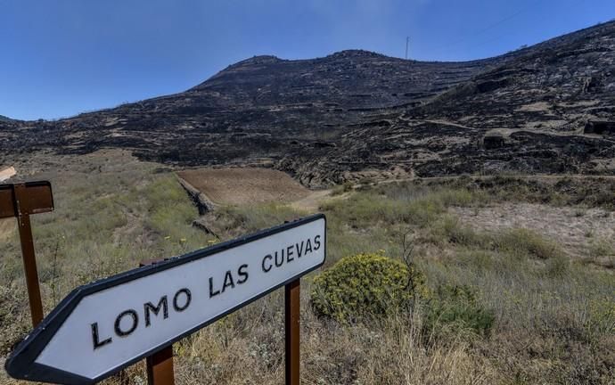 ARTENARA. Incendio en la Cumbre. El fuego llegó hasta Lomo Las Cuevas y fue detenido en este paraje por la UME de madrugada evitando que llegara a Coruña y cruzara al Pinar de Tamadaba.  | 11/08/2019 | Fotógrafo: José Pérez Curbelo