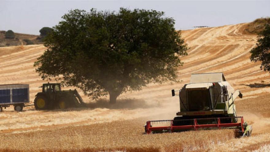 Un agricultor trabaja en sus tierras en la provincia de Zamora.