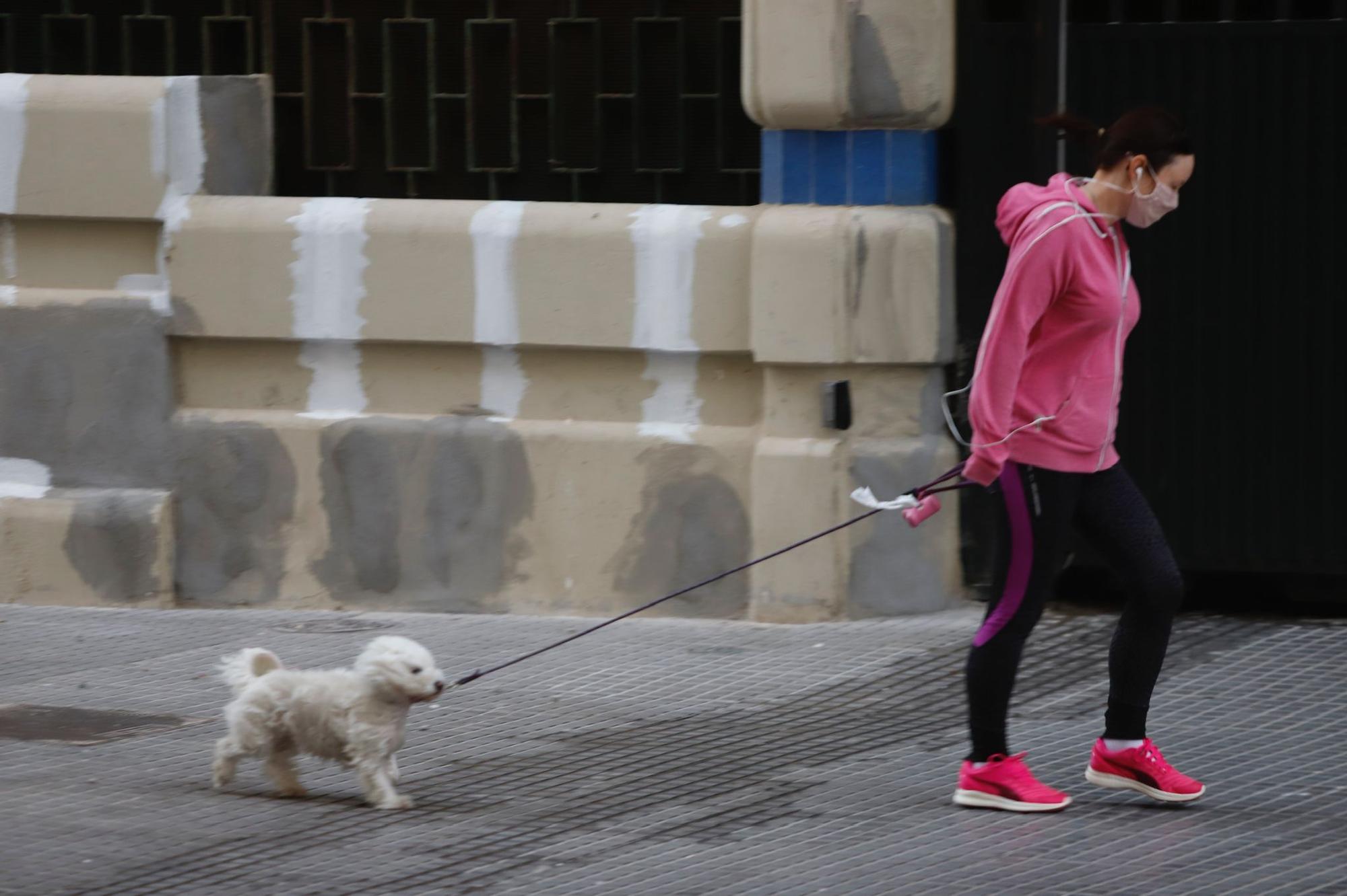 Temporal de viento y olas en la provincia de Málaga