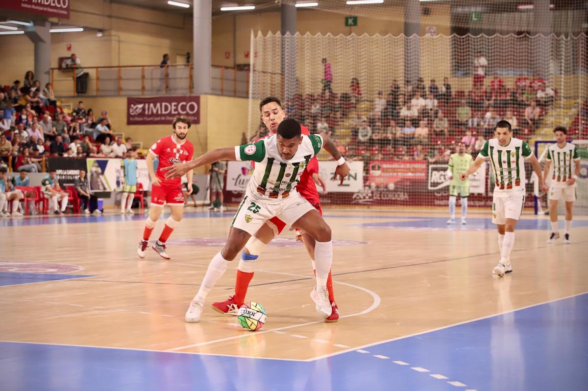 Córdoba Futsal-Jimbee Cartagena: el partido de Vista Alegre en imágenes Córdoba Futsal-Jimbee Cartagena: el partido de Vista Alegre en imágenes