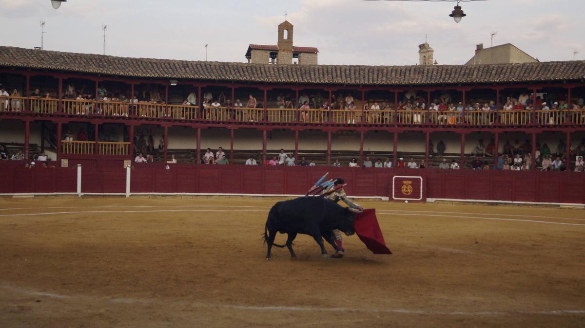 Ismael Martín abrió la triple puerta grande de la plaza de toros de Toro junto a sus compañeros de terna, Alejandro Talavante y Tomás Rufo, en un encierro de presencia y juego desigual de El Vellosino
