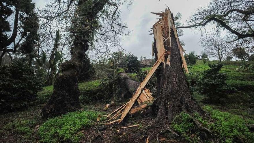 Los destrozos fueron importantes en el Pazo de Rubianes. // Iñaki Abella