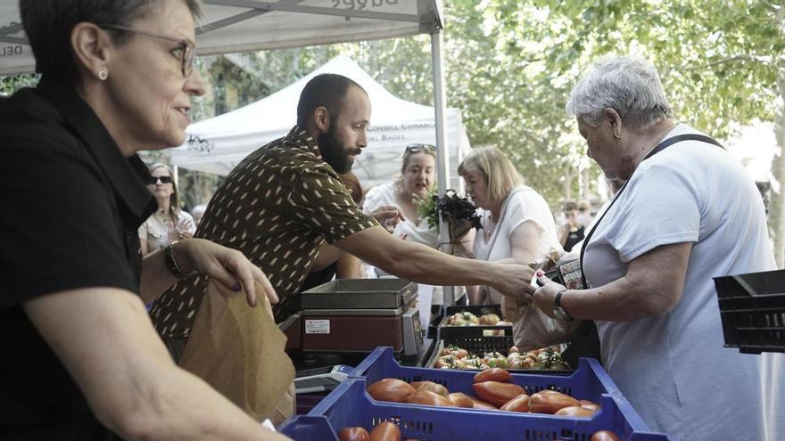 Una Survival Zombie, la festa del tomàquet i Els Elois: els grans plans del cap de setmana a la Catalunya central