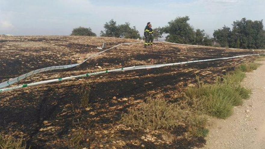Un incendi crema  sis hectàrees de camps i bosc a Pujalt