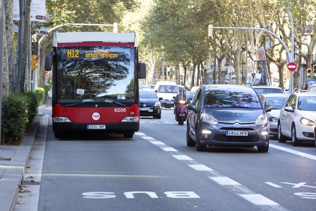 Autobús de la línea H-12, de la nueva red ortogonal.