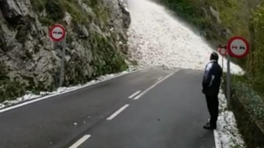 Vídeo: Las impresionantes imágenes de un alud de nieve que sorprendió a los conductores en la carretera de Páramo (Teverga)