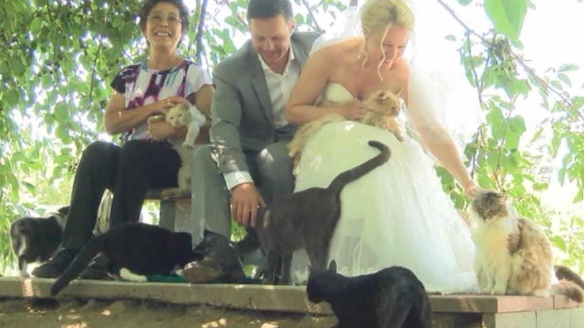 Dominic Husson y Louise Veronneau, junto a la dueña del refugio, Lynea Lattanzio, y algunos gatos.