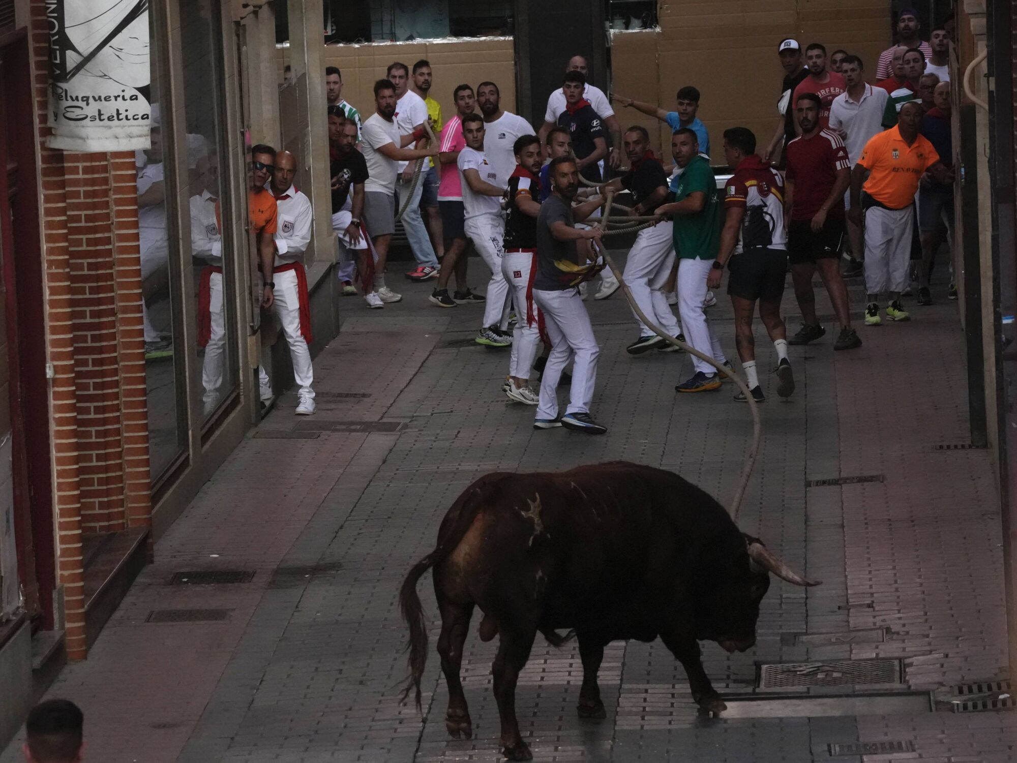 Las imágenes más impactantes del torito del alba de Benavente