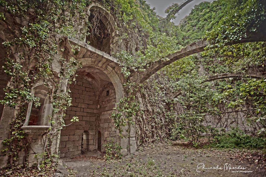Las ruinas del monasterio repletas de enredaderas