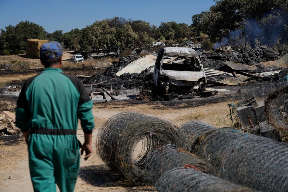 GALERÍA | El paso del fuego por Mámoles arrasa la explotación de Alfredo Fernándes