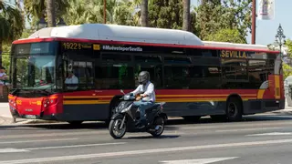 ¿Cómo pueden los menores de 15 años montarse gratis en el autobús? Estos son los requisitos de Tussam