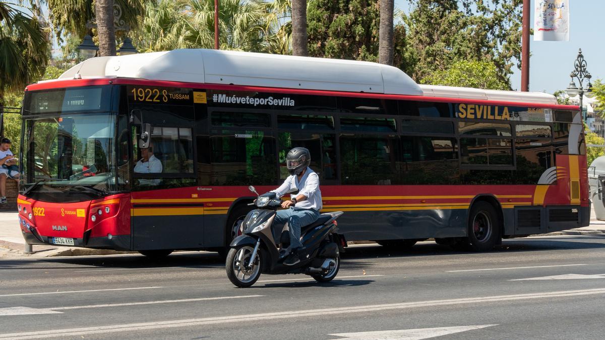 Archivo - Una motocicleta circula junto a un autobús de Tussam en el Paseo de Colón.