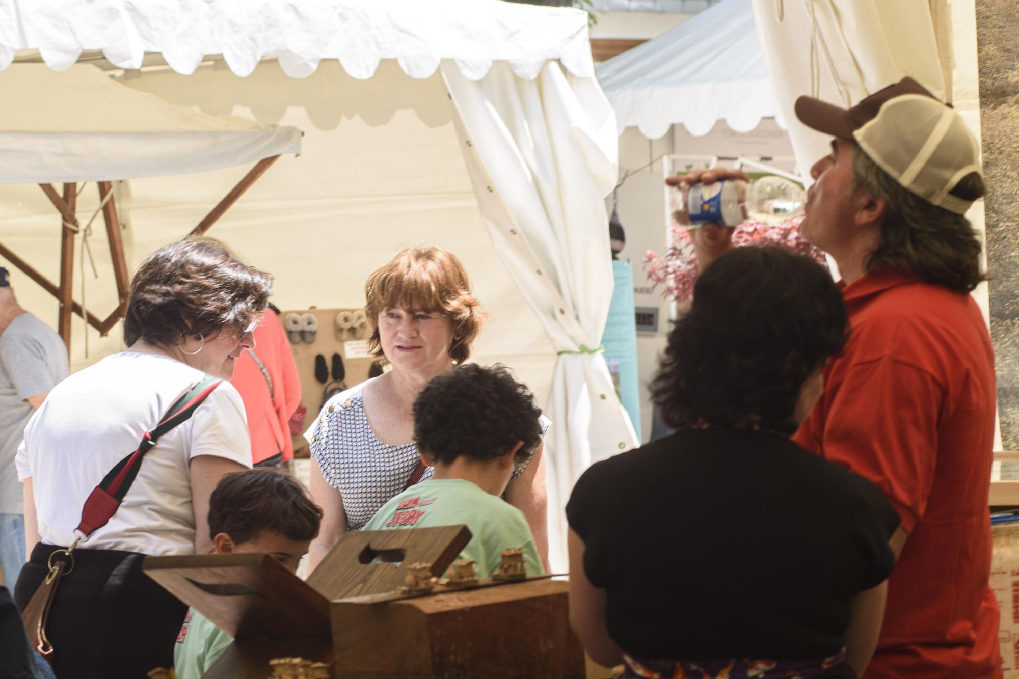 Galería de fotos: buen ambiente y sol en la celebración de la feria de la Ascensión en Oviedo