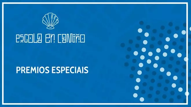 Premios especiais II Escola en Camiño