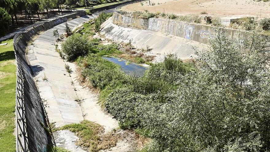 Cinco colectivos denuncian ante Sanidad la &quot;insalubridad&quot; del Rivillas y el Calamón