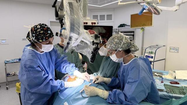Can Ruti investiga una cirurgia experimental per tractar pacients amb Alzheimer en fase inicial