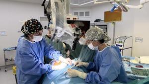 Un momento de la cirugía en el Hospital Germans Trias i Pujol, en Badalona.