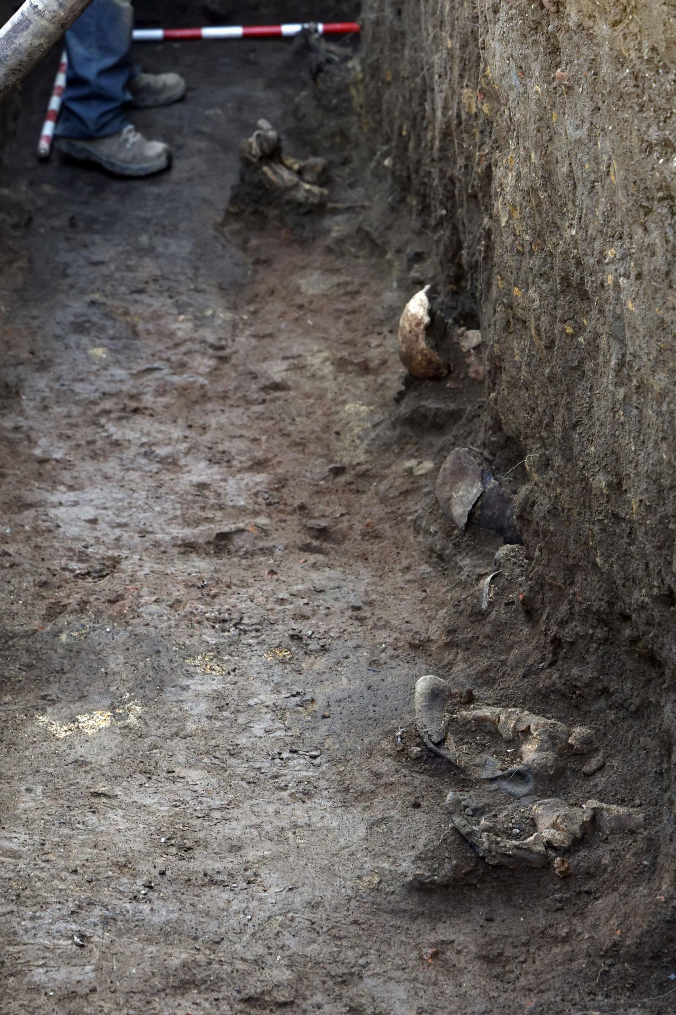 Hallada una fosa común en Narón donde podría haber 50 víctimas del franquismo