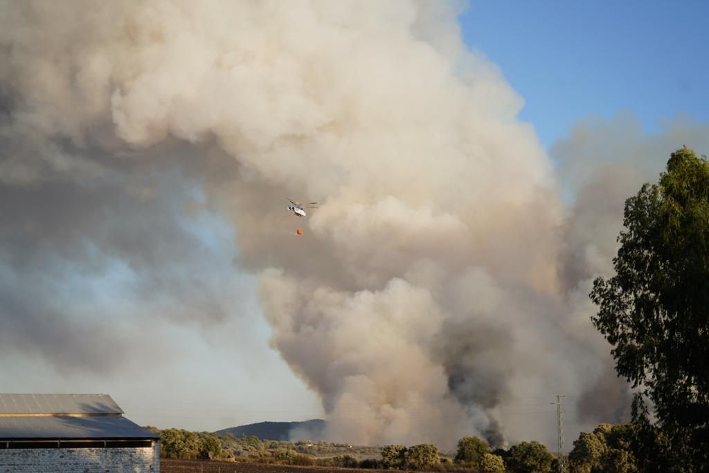 Incendio forestal en en el puerto del Calatraveño