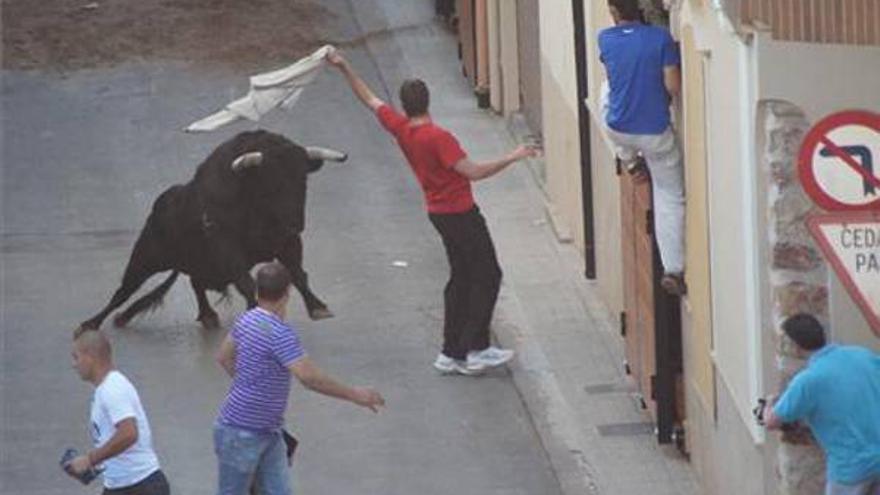 Segunda jornada taurina en las fiestas de Sant Antoni