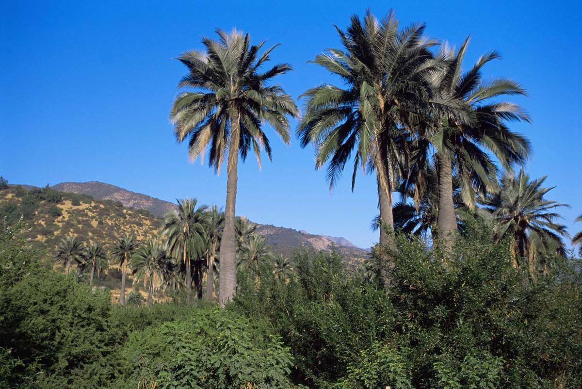 Parque Nacional La Campana