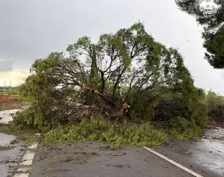 Una tormenta con granizo en Monzón obliga a cerrar la carretera N-240 hacia Binéfar