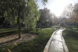 En imágenes | Así ha quedado el Jardín Botánico de Zaragoza tras su renovación
