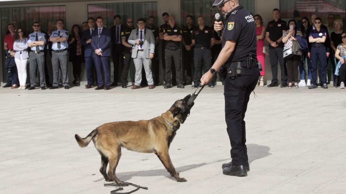 Un policía participa en la exhibición del Día de la Seguridad Privada