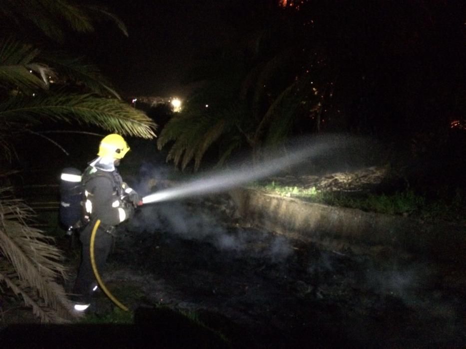 Sofocado un incendio en un palmeral en Arucas