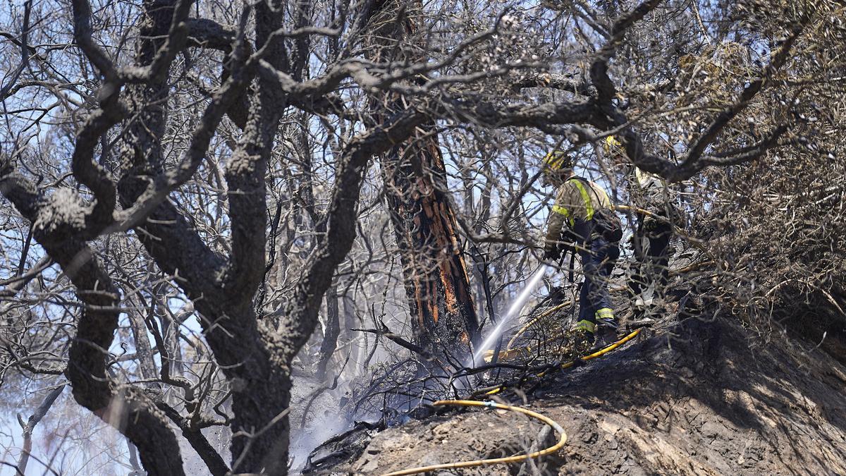 Incendi entre Lloret i Tossa